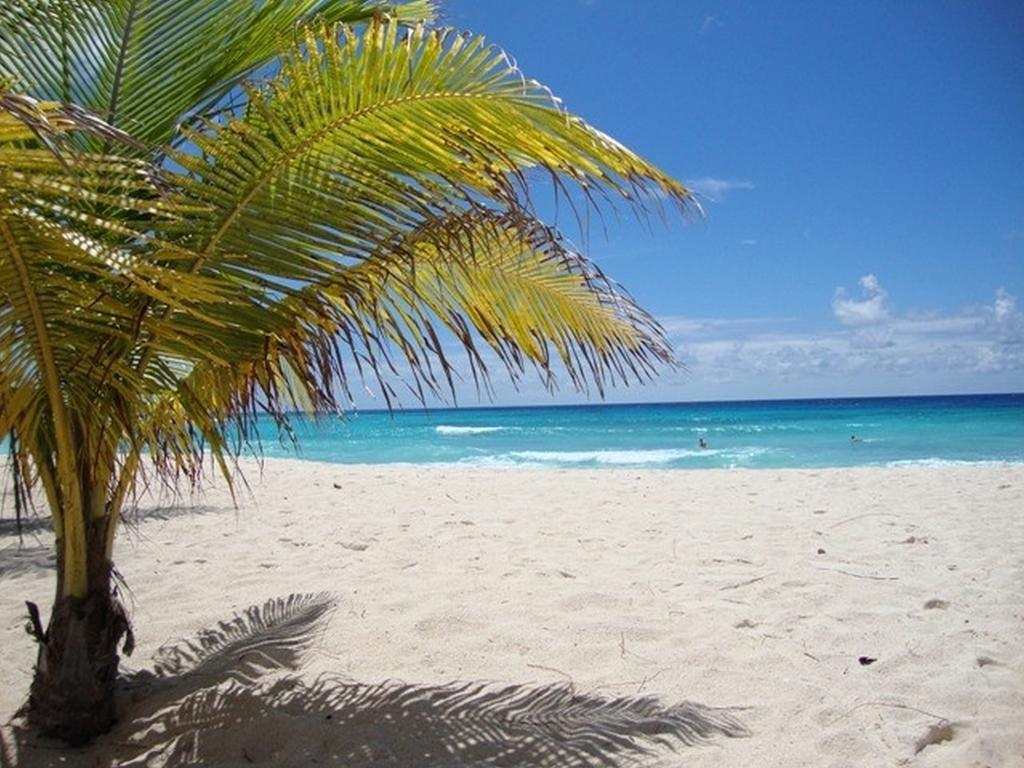Beach Guest House Cleverdale Bridgetown Pokój zdjęcie